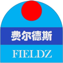 成都费尔德斯企业管理咨询有限公司简介